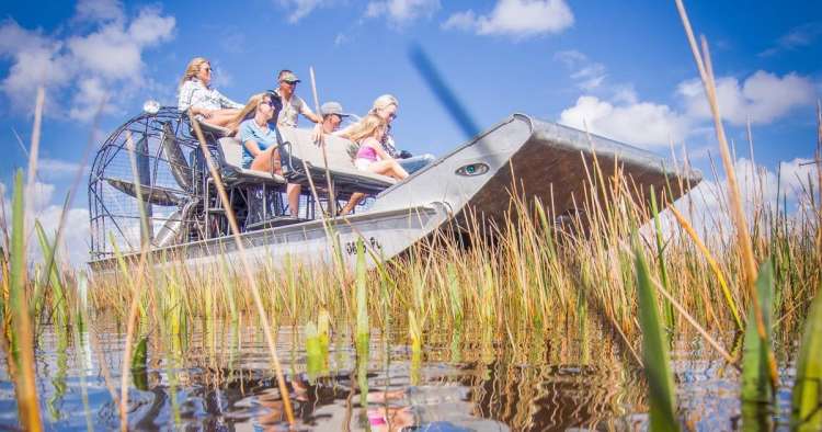 Everglades NP